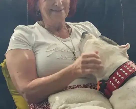 Woman holding a Dogo Argentino puppy for sale