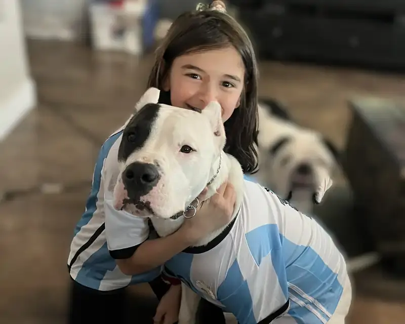 Happy owner with Argentinian Mastiff puppy from trusted breeder